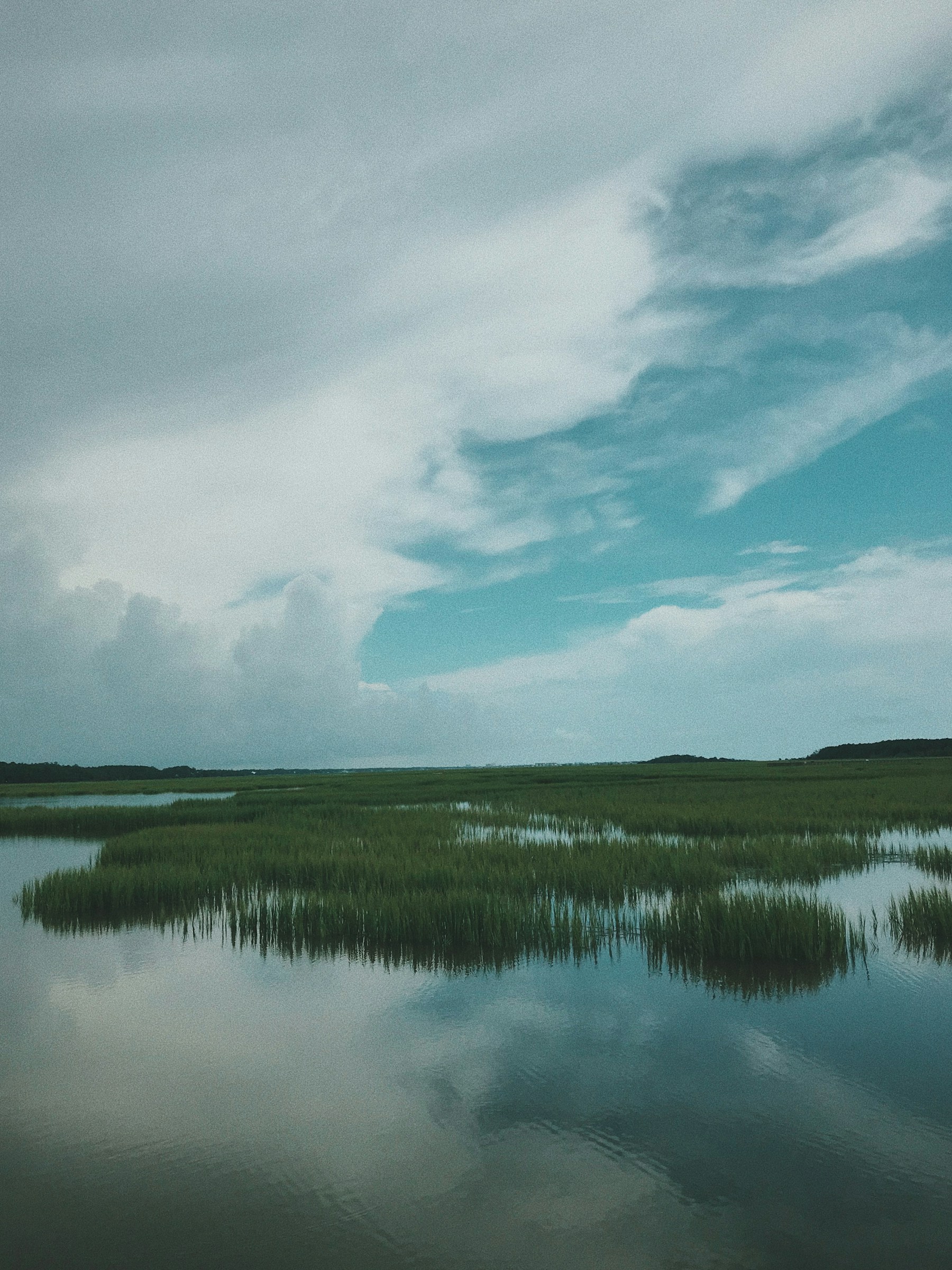 Dark marsh grass and water beneath a dramatic blue-gray sky